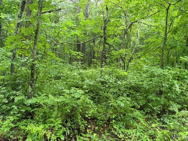 Land for sale in Beckville, Piedmont