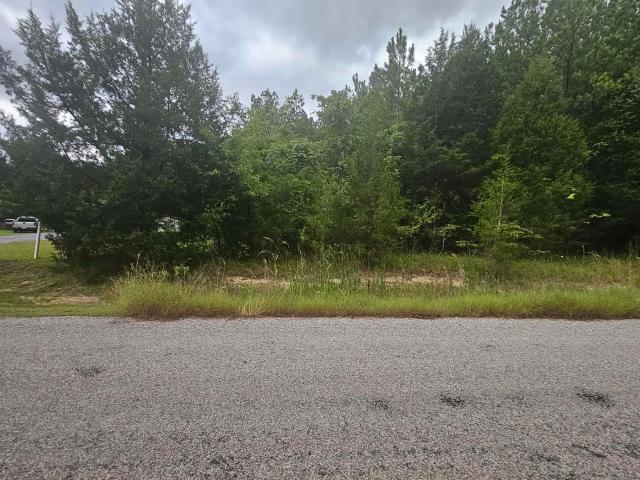 Land for sale in Selma, Alabama