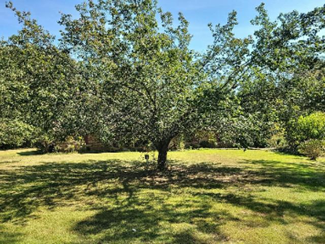 House for sale in Poolville, Myrtle