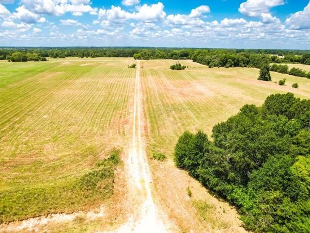 Land for sale in Fairfield, Freestone County