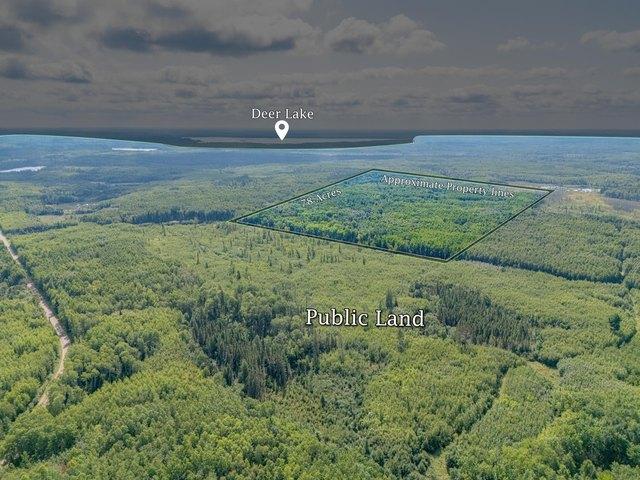 Land for sale in Effie, Minnesota