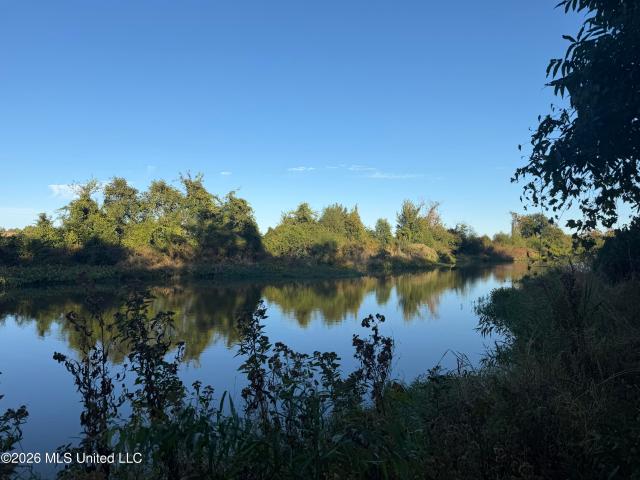 Land for sale in Sidon, Leflore County