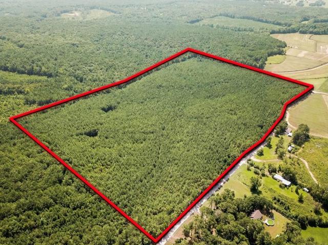 Land for sale in Booneville, Mississippi