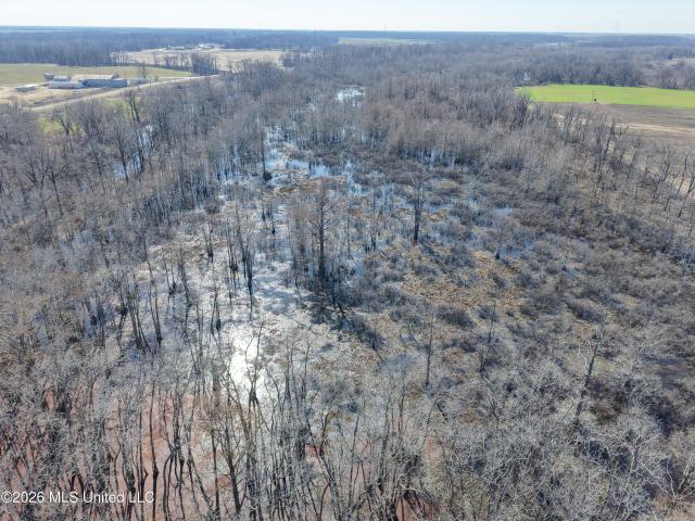 Land for sale in Minter City, Mississippi