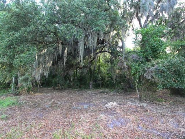 Land for sale in Sumterville, Florida