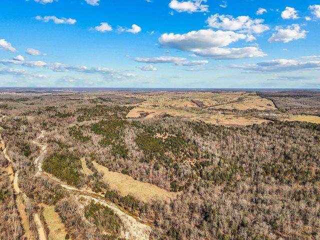 Land for sale in Gainesville, Missouri
