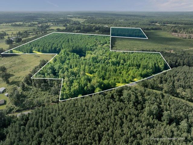 Land for sale in Bay Springs, Jasper County