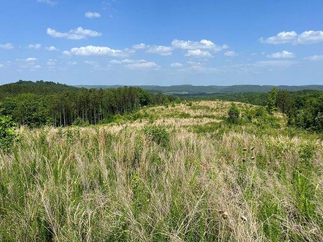 Farm for sale in Tennessee