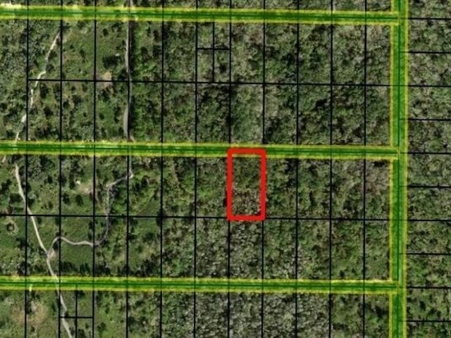 Land for sale in Kathleen, Florida