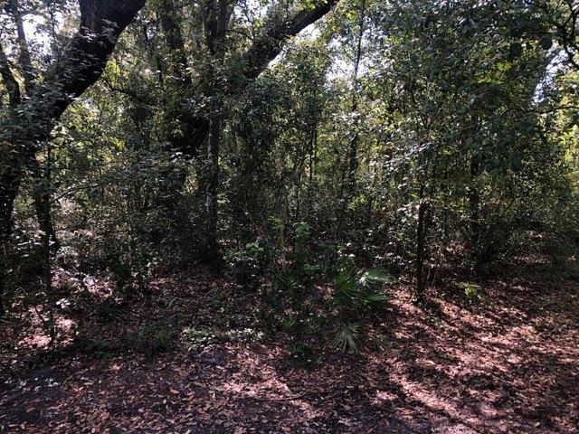 Land for sale in Kathleen, Florida