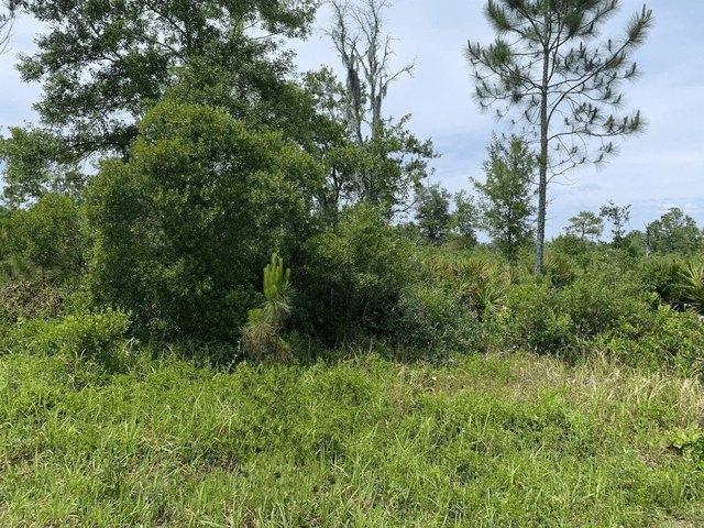 Land for sale in Kathleen, Florida