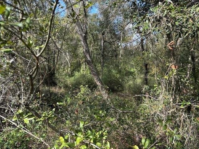 Land for sale in Kathleen, Florida