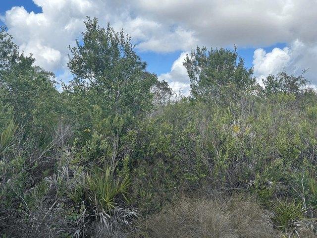 Land for sale in Kathleen, Florida