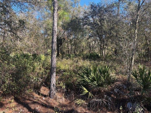 Land for sale in Kathleen, Florida