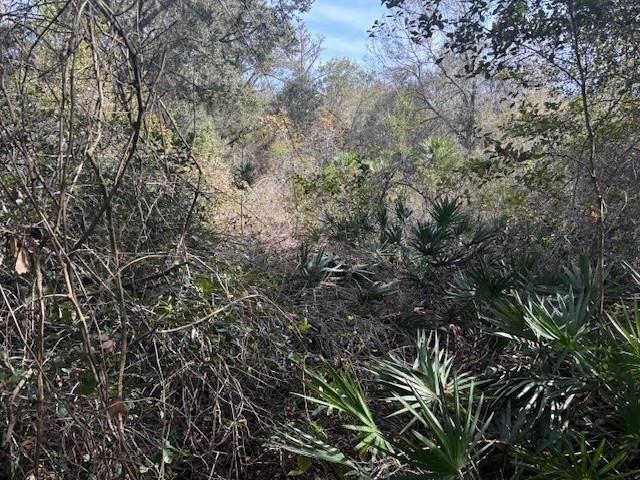Land for sale in Kathleen, Florida