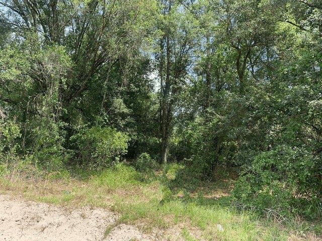 Land for sale in Kathleen, Florida