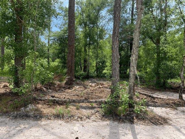 Land for sale in Kathleen, Florida