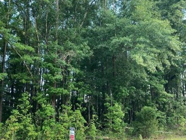 Land for sale in Troy, Alabama