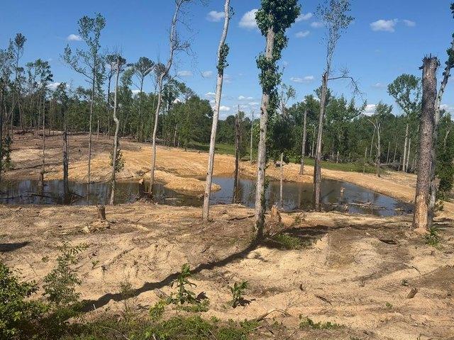 Land for sale in Troy, Alabama