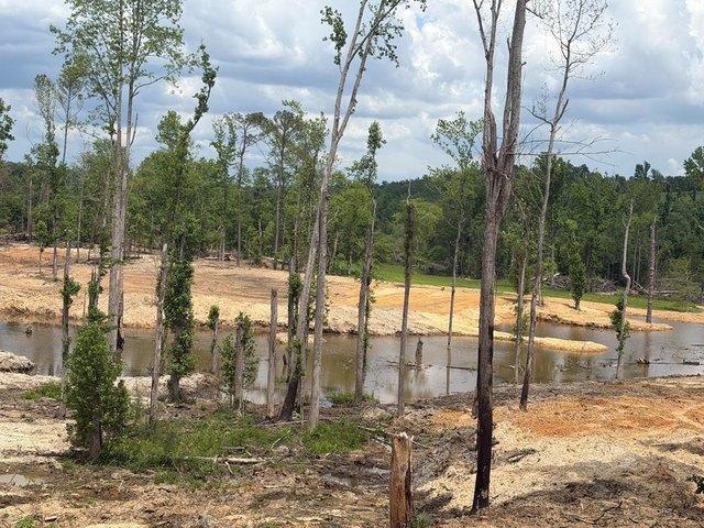 Land for sale in Troy, Alabama