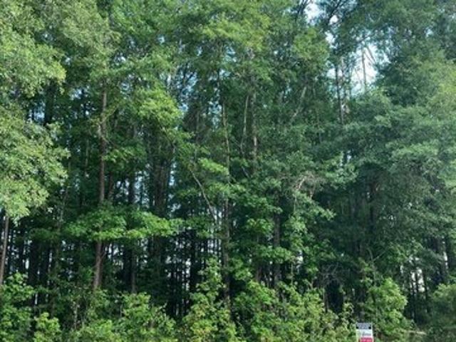 Land for sale in Troy, Alabama