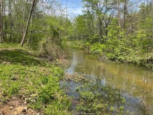 Land for sale in Reynolds, Missouri