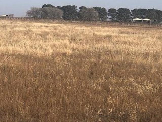 Land for sale in New Deal, Texas