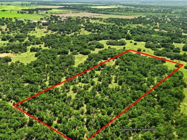 Land for sale in Cisco, Texas