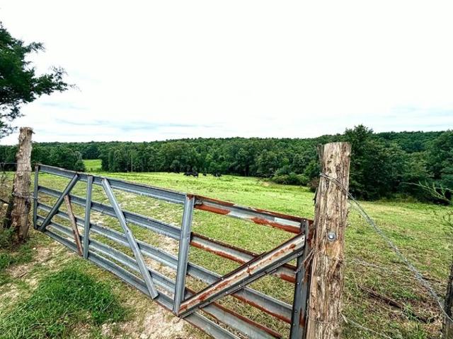 Land for sale in Winona, Shannon County