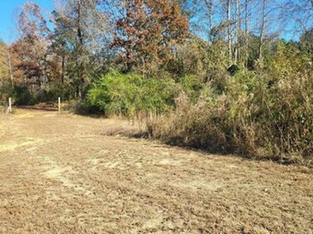 Land for sale in Alabama