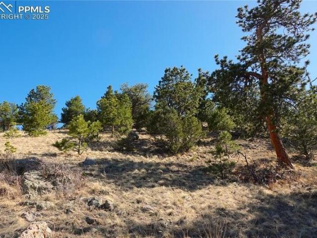 Land for sale in Canon City