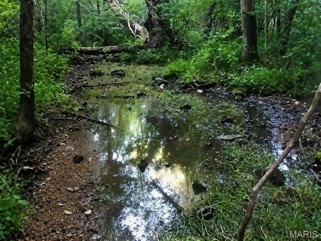 Land for sale in Viburnum, Missouri