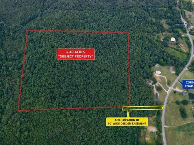 Land for sale in Booneville, Mississippi