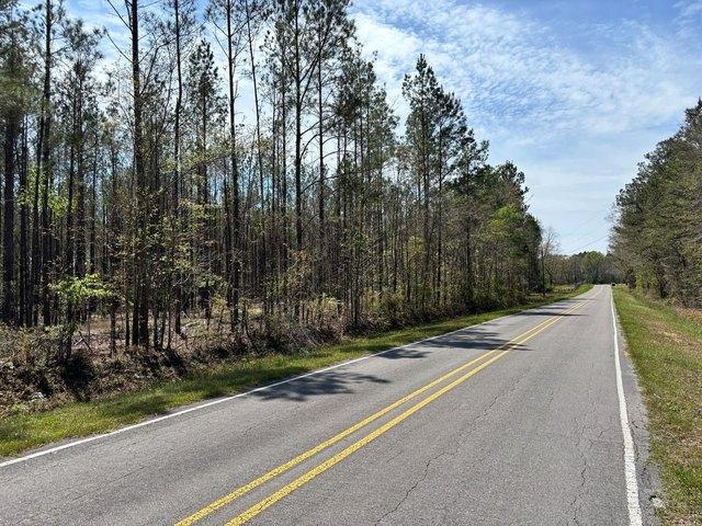 Land for sale in Shubuta, Mississippi
