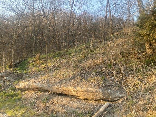 Land for sale in Eucha, Oklahoma