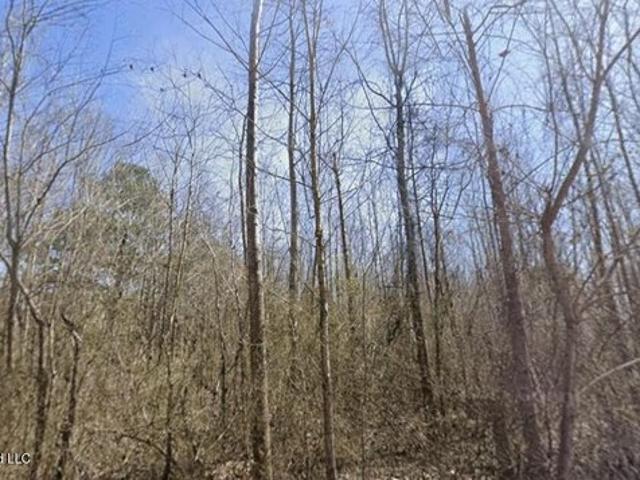 Land for sale in Corinth, Mississippi