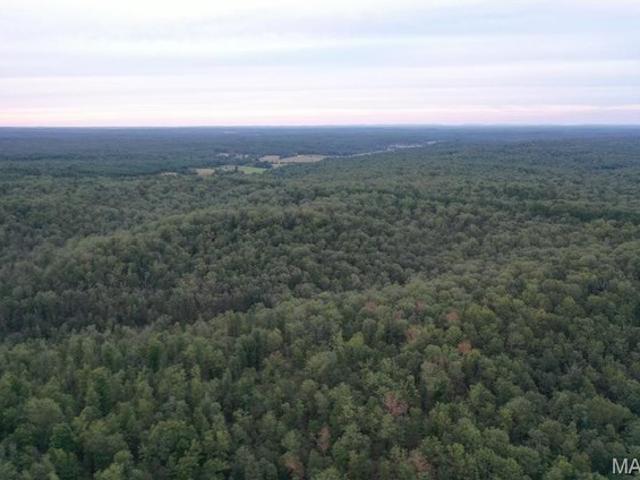 Farm for sale in Reynolds, Missouri