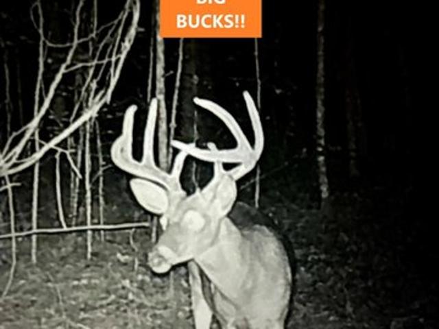 Land for sale in Corinth, Texas