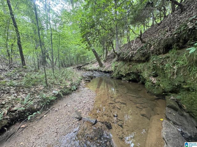 Land for sale in Potash, Roanoke