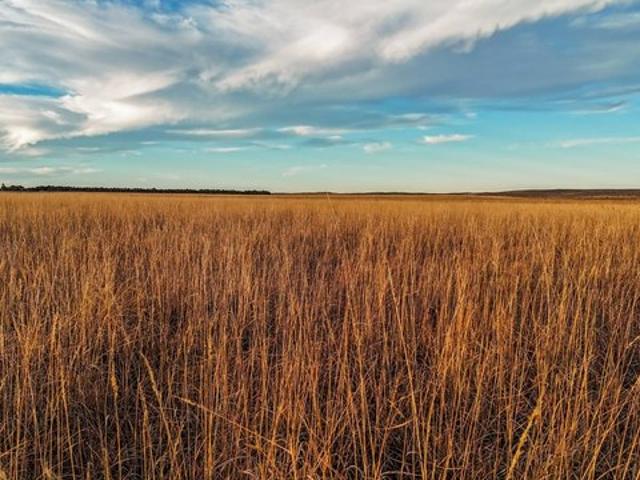 Land for sale in Colorado