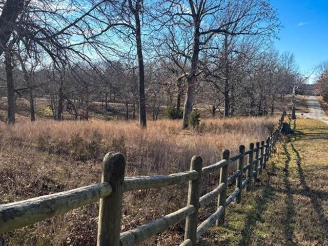 Land for sale in Theodosia, Missouri