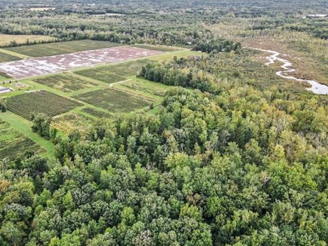 Land for sale in Gobles, Michigan