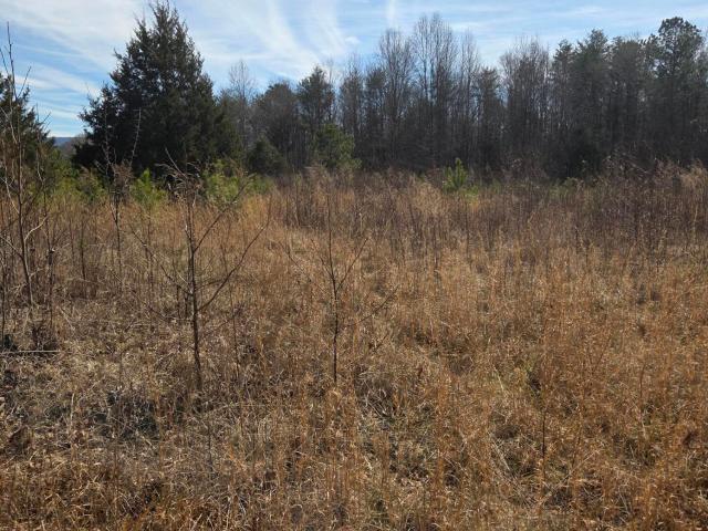Land for sale in Tennessee