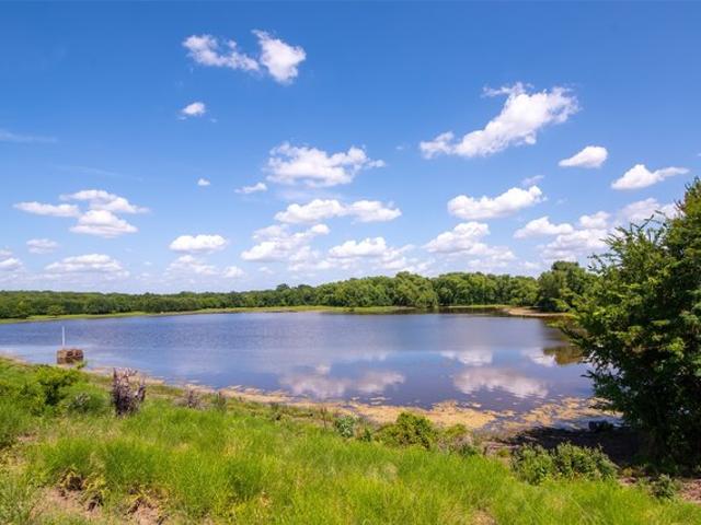 Land for sale in Farmersville, Texas