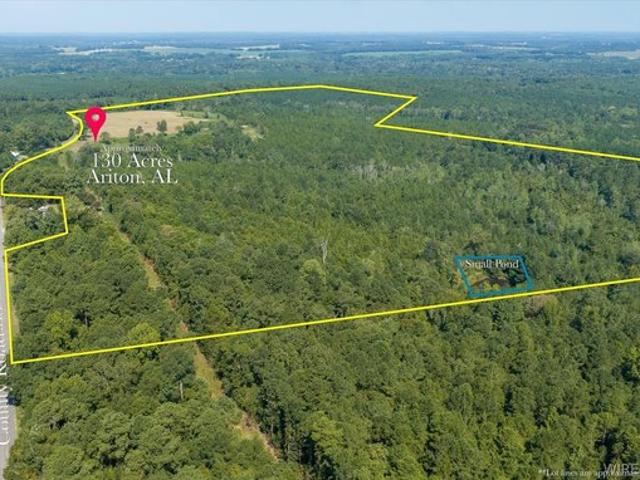 Land for sale in Dale, Alabama