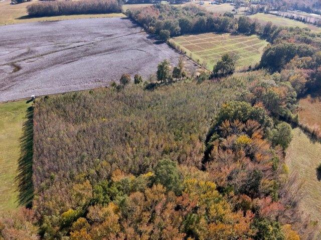 Land for sale in Lexington, Alabama
