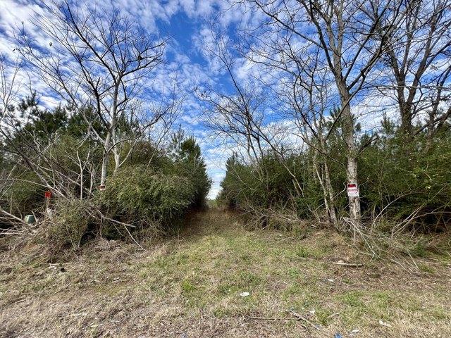 Land for sale in Thomasville, Alabama
