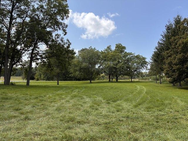 Land for sale in Hartford, Michigan