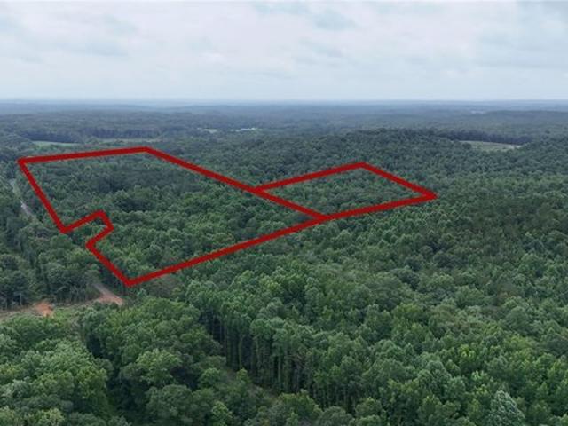 Land for sale in Berry, Alabama