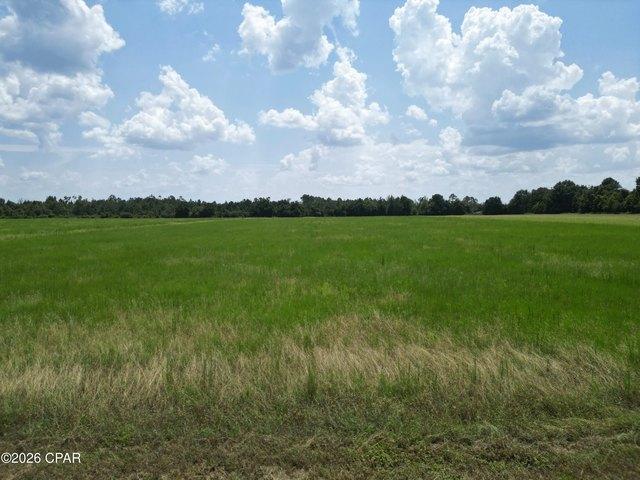 Land for sale in Blountstown, Florida